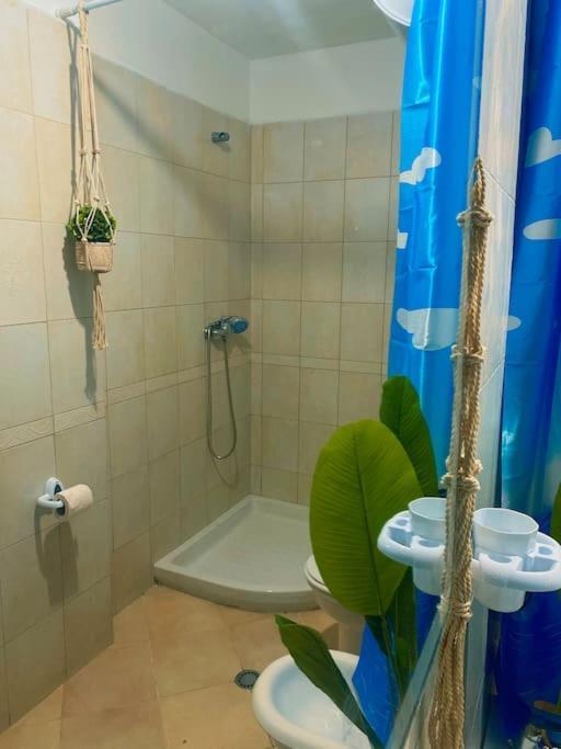 City Central Amazona Appartment Тирана Экстерьер фото